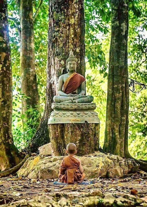 Tản mạn cuộc sống – Bụt ngồi dưới cây bồ đề [Reflections on Life – The Buddha Sitting Beneath the Bodhi Tree]