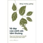 2024,2024-11,gioi thieu sach, giới thiệu sách, chien phan,blog chien phan,Vẻ đẹp của cảnh sắc bình thường, Đặng Hoàng Giang,nxb omega,nxb hoi nha van, nxb hội nhà văn,The Beauty of Ordinary Sceneries